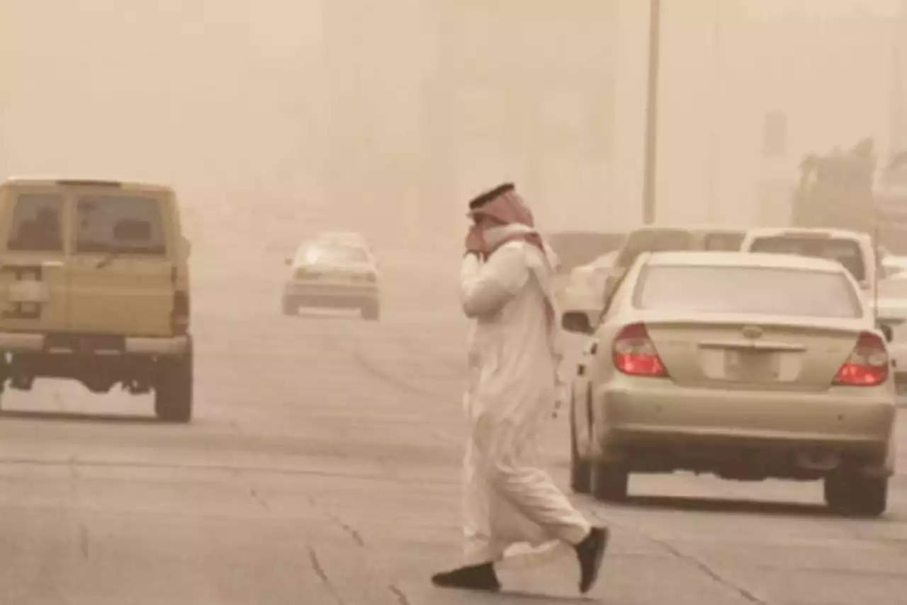 عند هبوب العواصف والغبار.. كيف تتجنب حساسية الصدر؟ - صحيفة تواصل الالكترونية