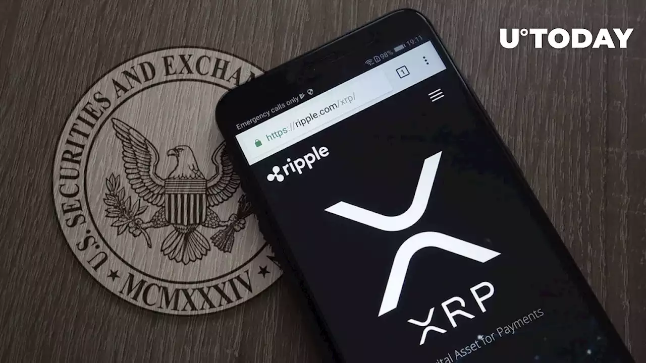 XRP's Security Status: Controversial Debate Sparked Among Experts