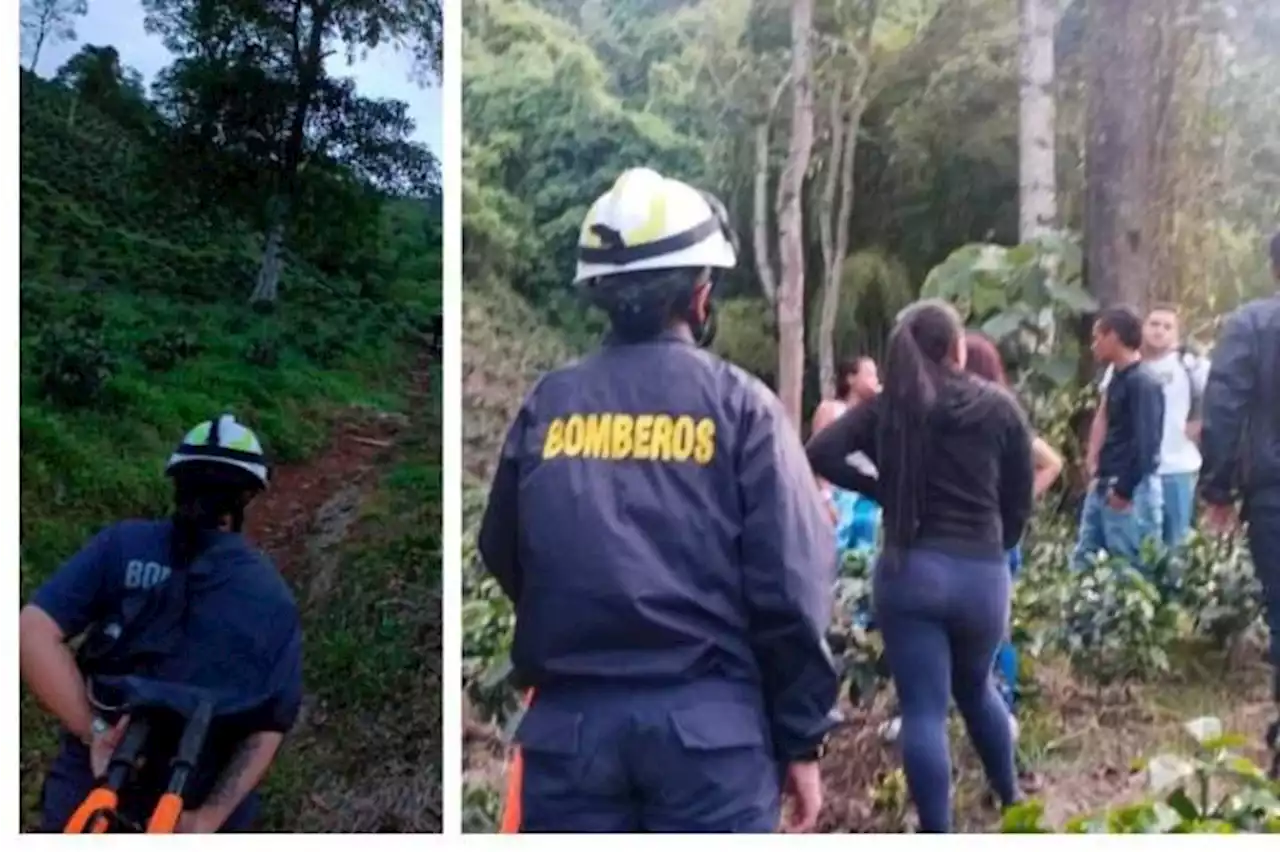 Recolector de café murió tras lanzarse a precipicio luego de que enjambre de abejas lo atacara