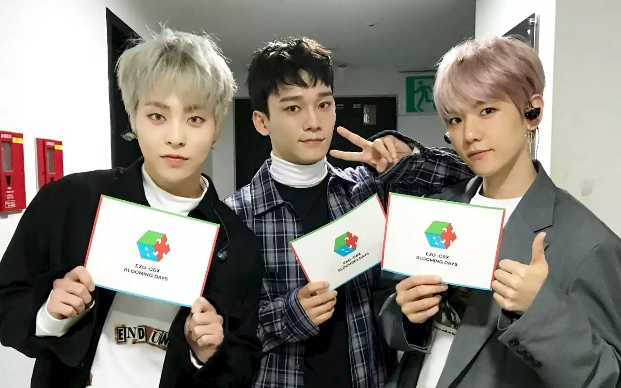 Akhiri Kontrak, EXO-CBX Lawan SM Entertainment di Pengadilan