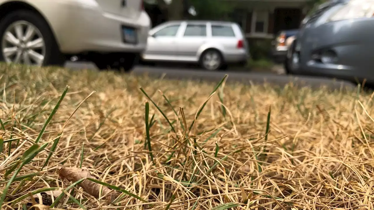 Chicago Just Had One of Its Driest Mays in History, How Serious Is This Drought?