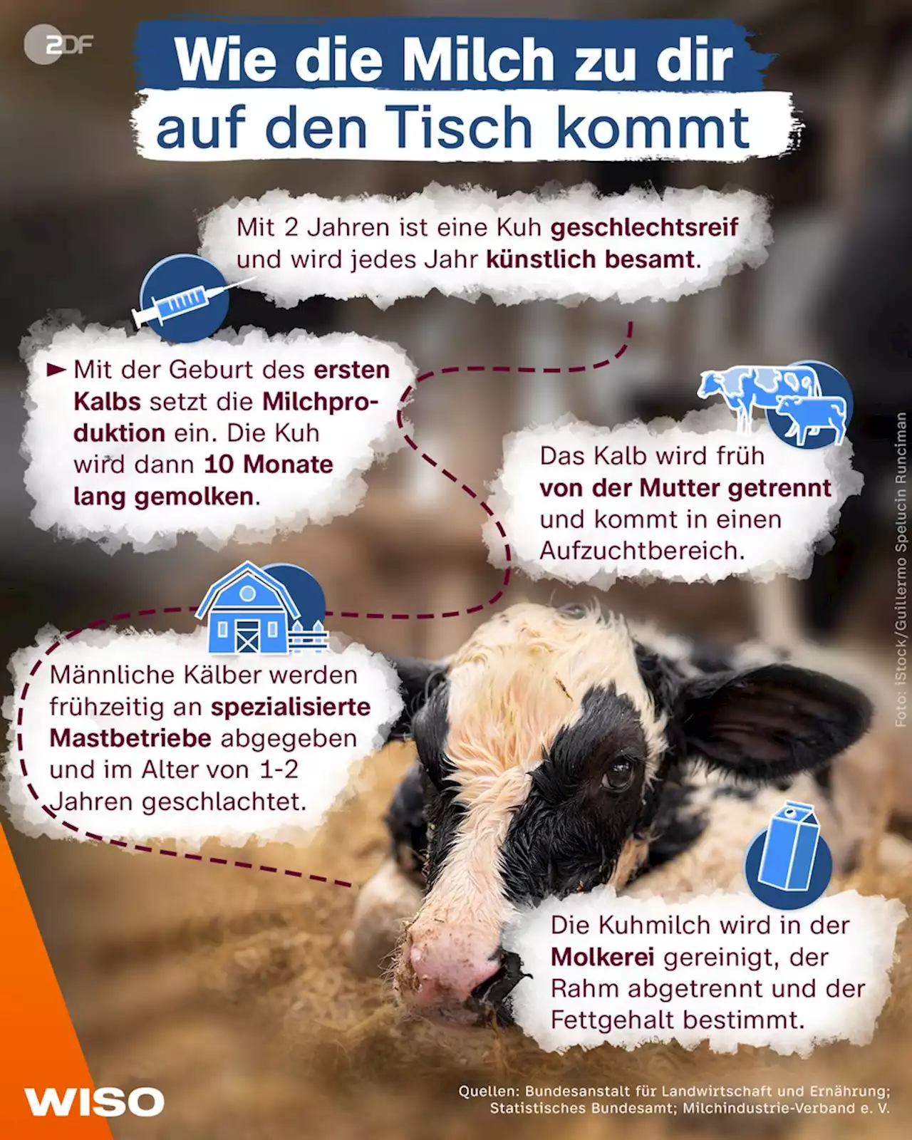 Die gute Milch - makro vom 30.03.2021