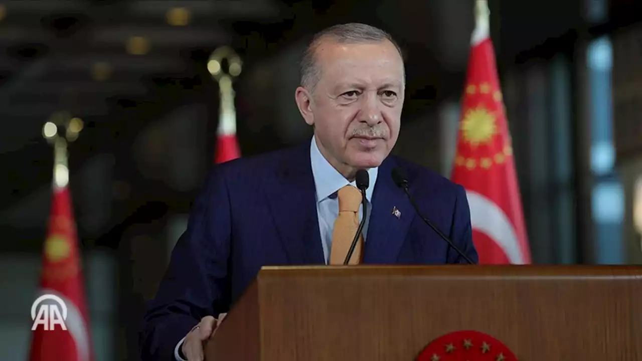 أردوغان يجري أول زيارة خارجية لقبرص التركية وأذربيجان