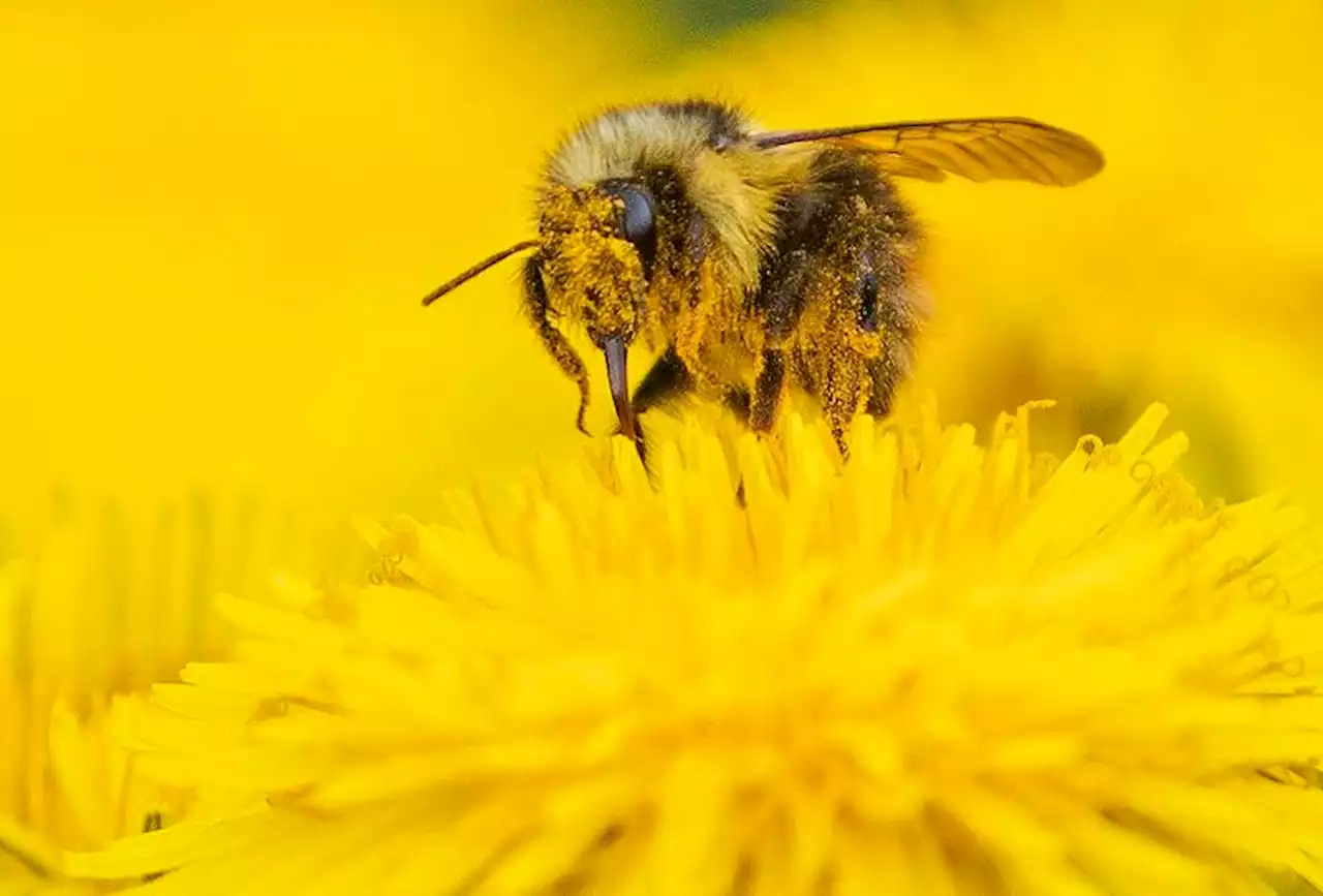 Photos: Best of June 2023