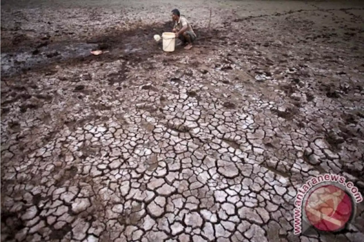 BMKG: Sembilan wilayah DIY berstatus waspada kekeringan meteorologis