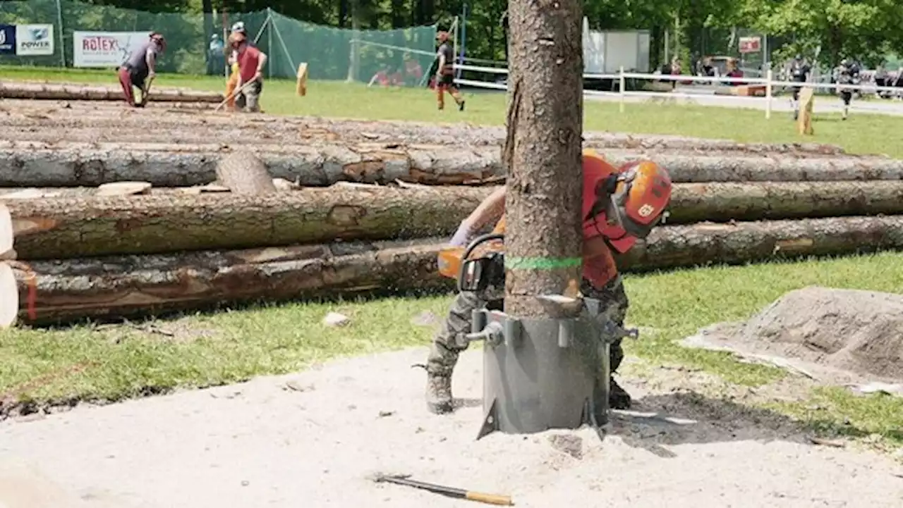 Holzereiwettkampf in Melchtal: «Hölzige» zeigten ihr Können - bauernzeitung.ch