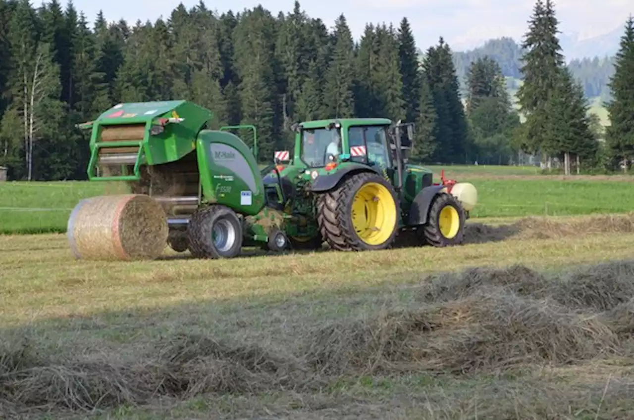 Schweizerischer Raufutterverband senkt die Richtpreise 2023 - bauernzeitung.ch