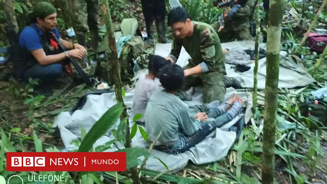 Cómo fue el “Operativo Esperanza” con el que se logró encontrar con vida a los 4 niños desaparecidos en la selva de Colombia - BBC News Mundo