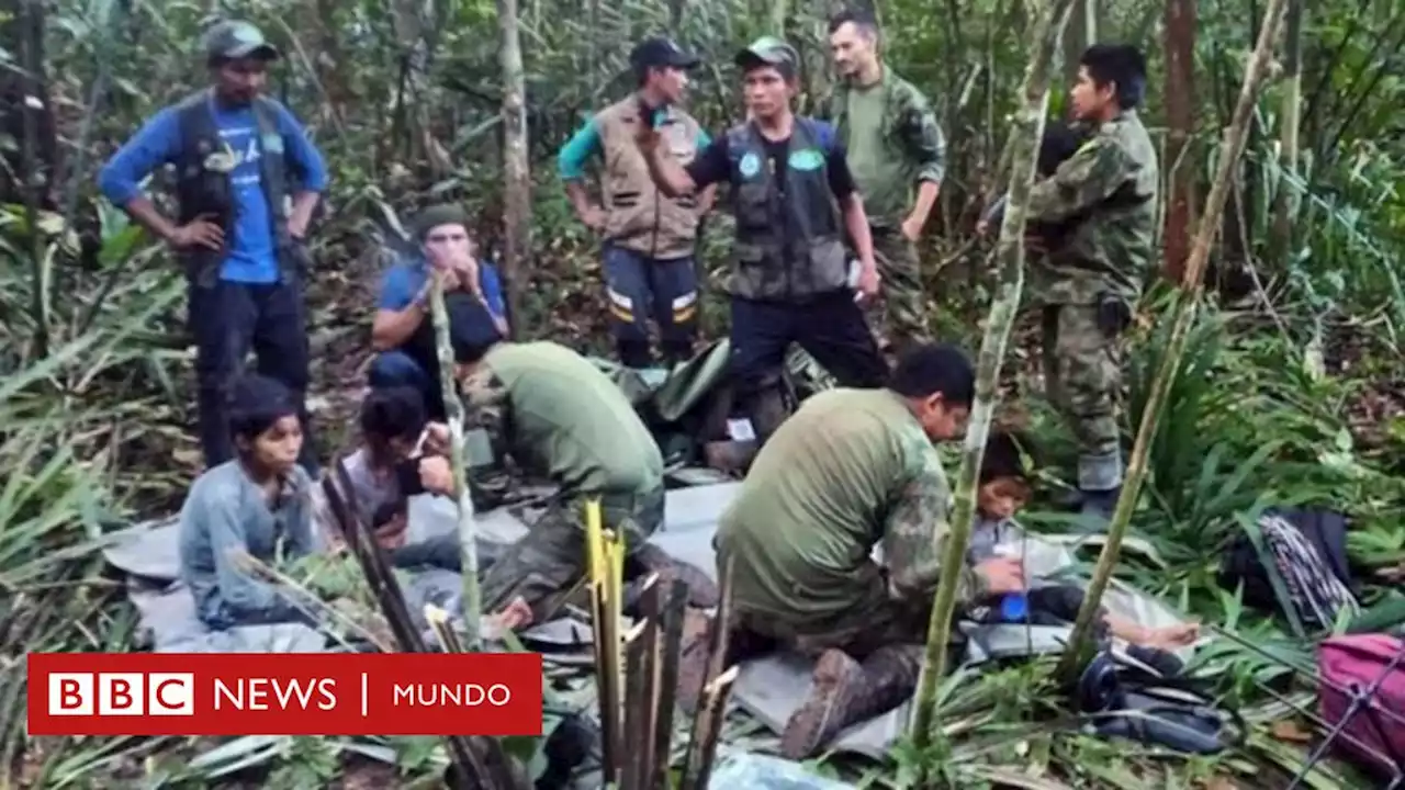 Hallan con vida en la selva colombiana a los 4 niños que desaparecieron hace 40 días tras un accidente de avión - BBC News Mundo