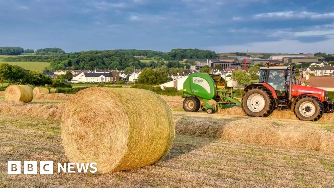 Northern Ireland weather: Storms brew after weeks of early summer sun