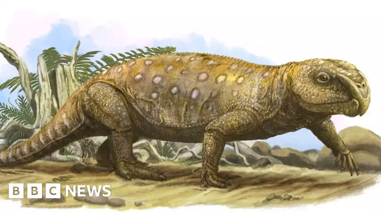 Devon fossils show reptile may have starved to death, researchers say