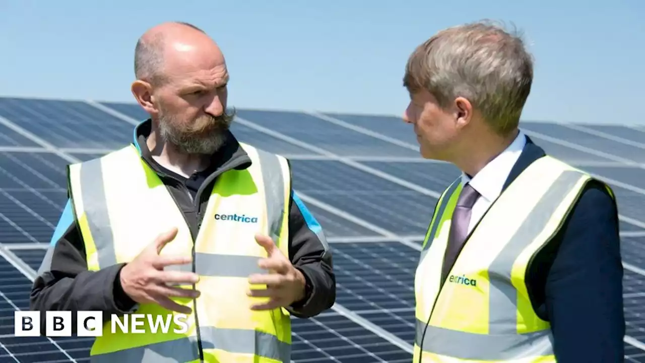 Push for renewable energy as Codford solar farm opens