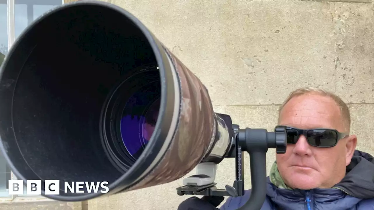 The minders with their eyes on the Cambridge peregrines