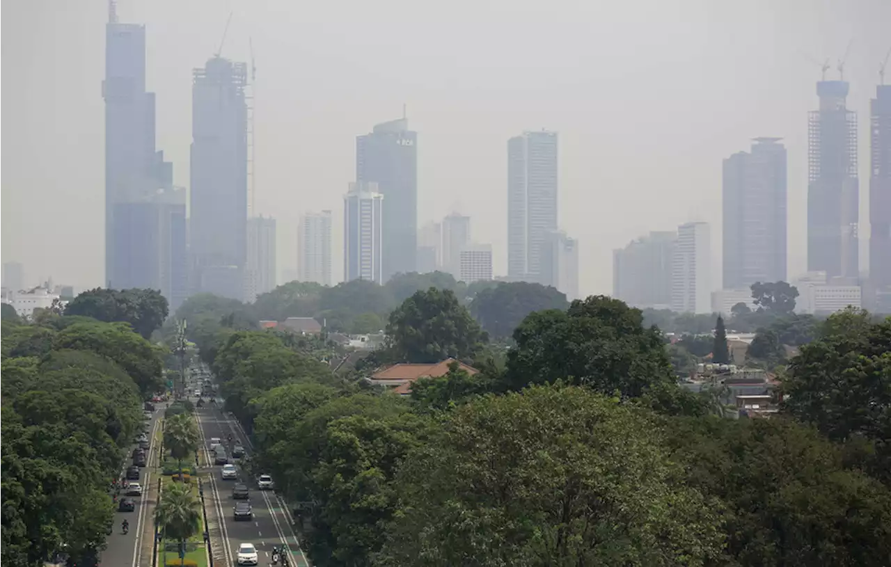 DPR Minta Pemerintah Siapkan Solusi Jangka Pendek Atasi Risiko Polusi Udara pada Anak