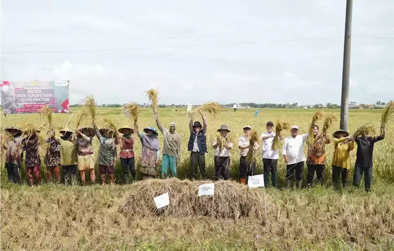 Perkuat Ketahanan Pangan, Kementan Minta Daerah Garap 1.000 Hektare Lahan