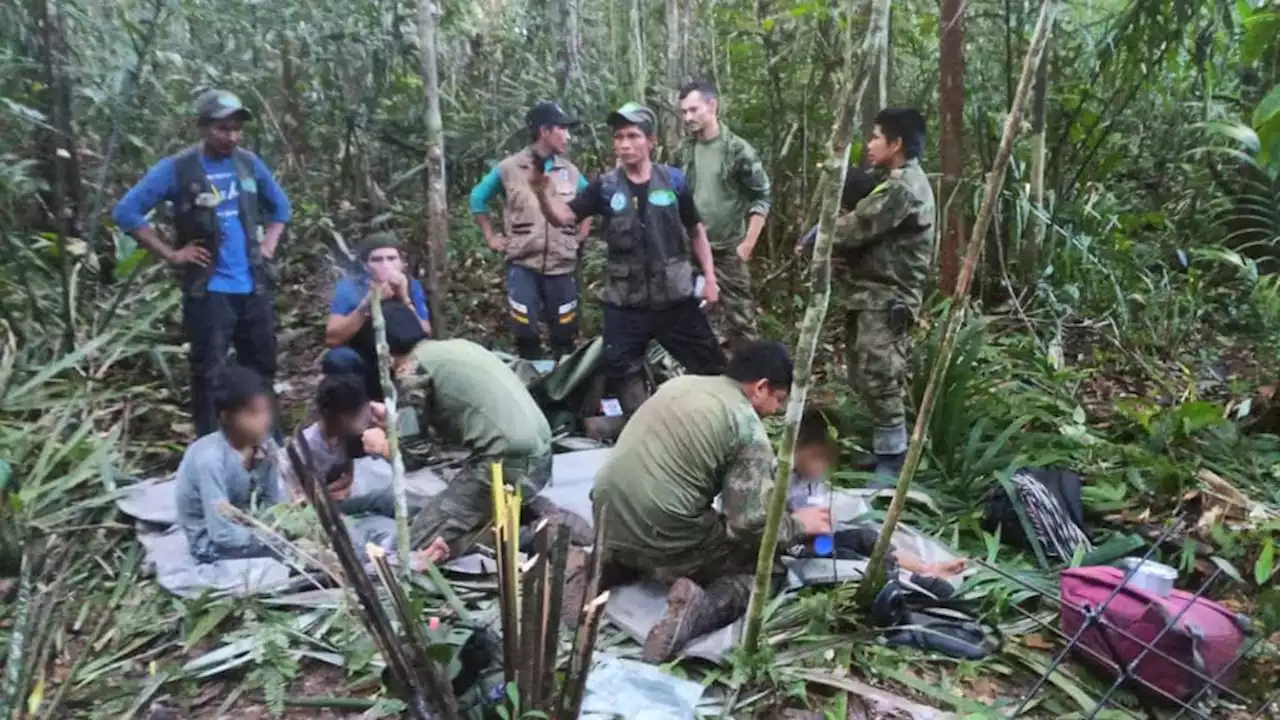 Enfants retrouvés en Colombie: le récit des 40 jours de traque dans la jungle amazonienne