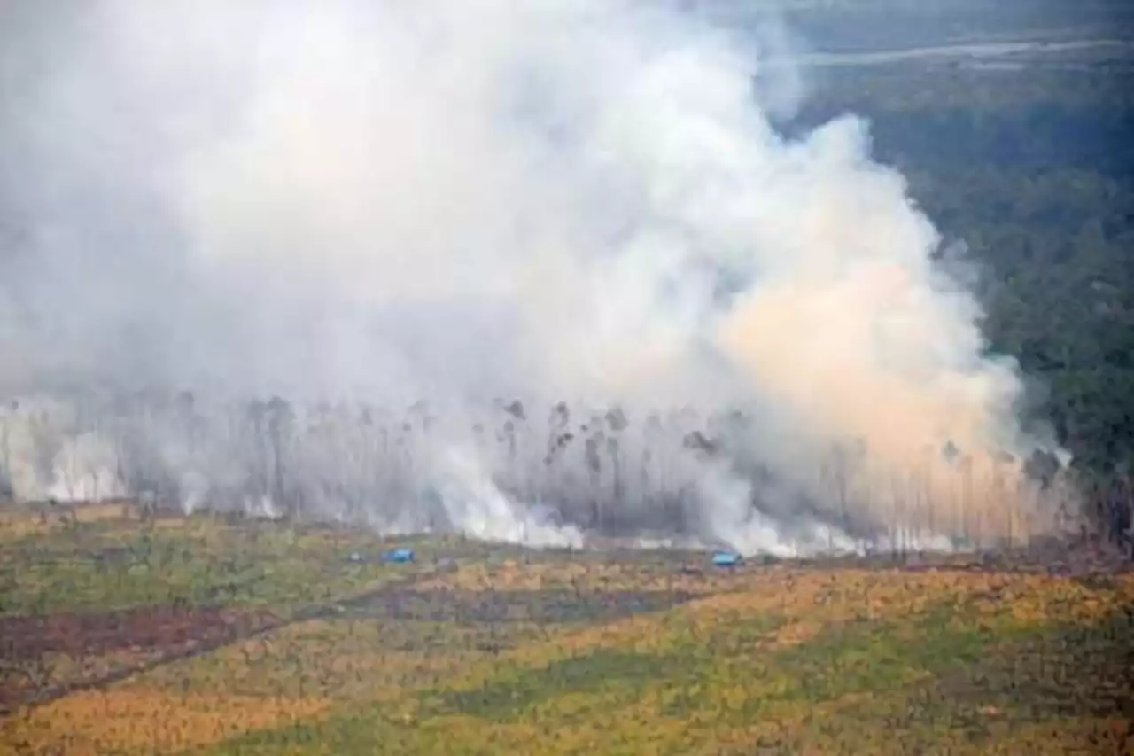 Update Kebakaran Hutan di Kanada: Ditemukan 10 Titik Baru Kebakaran