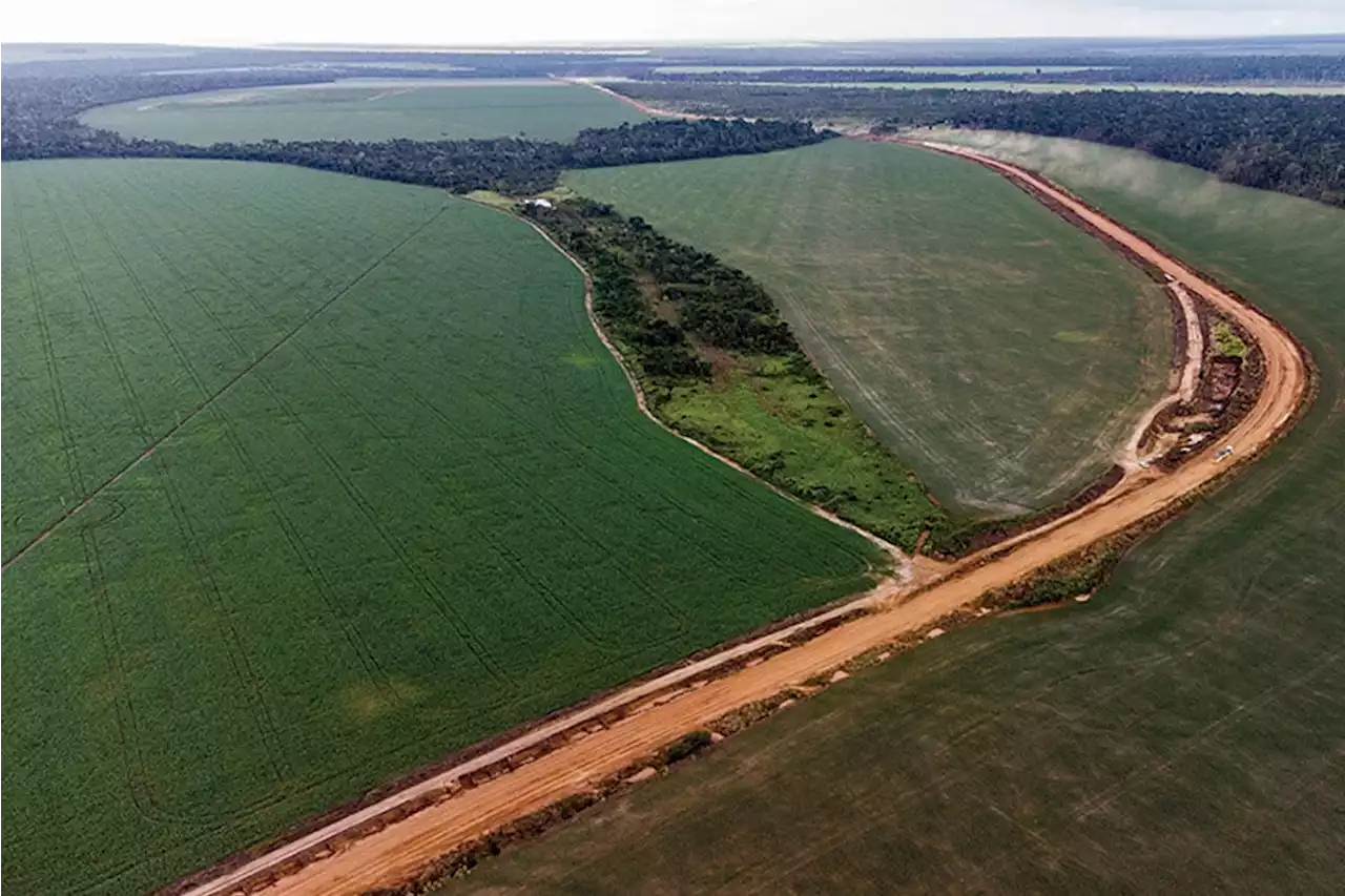 Sem-terra na mira – CartaCapital