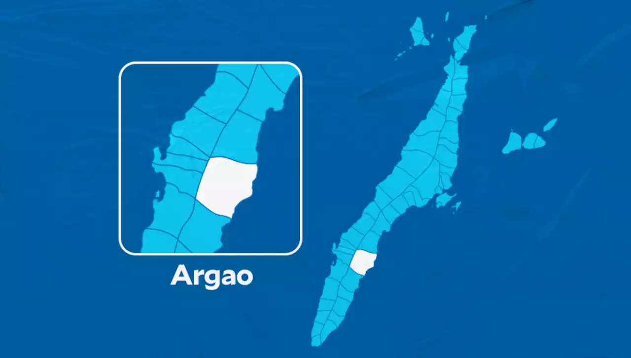 Argao : Woman loses P20,000 to armed robber