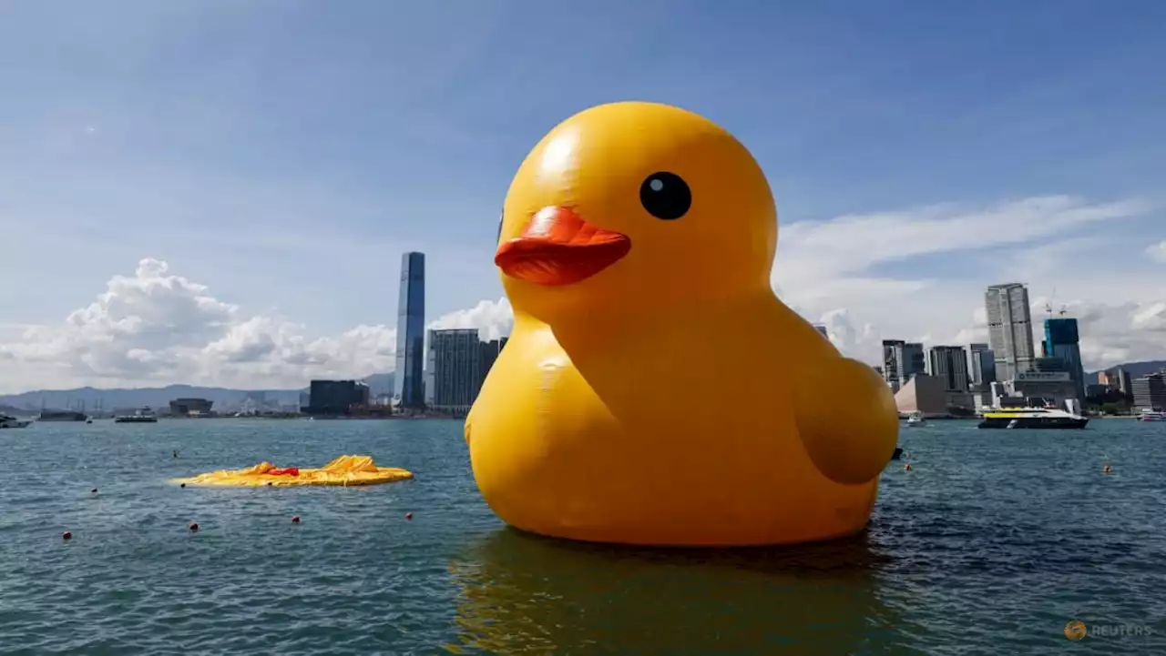 One of two giant rubber ducks in Hong Kong harbour deflates