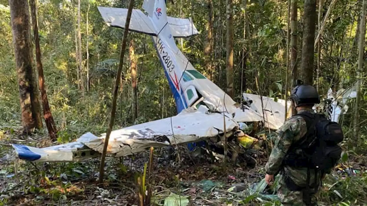 Four Colombian children found alive in jungle weeks after plane crash