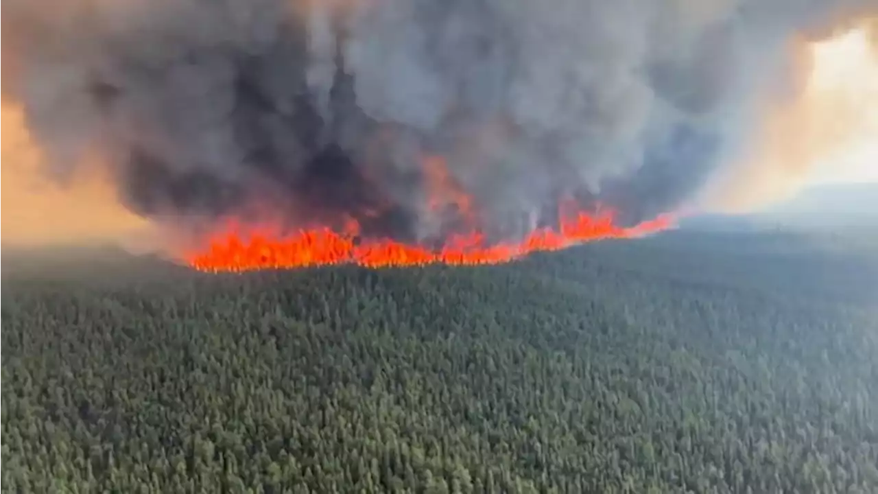 Potret Ngeri Kebakaran Hutan, Langit AS Memerah - Foto 1