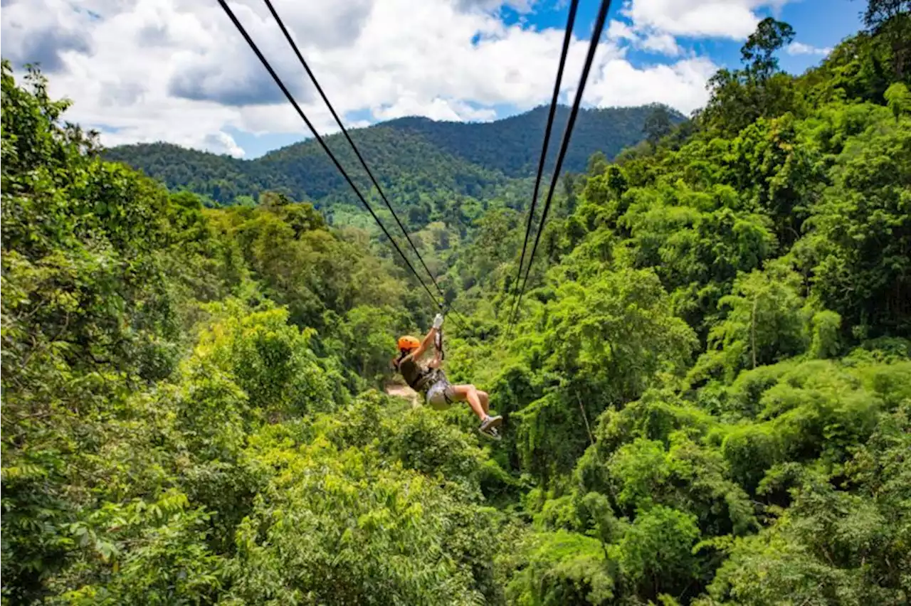 São Paulo ganha tirolesa de 500 metros de extensão dentro de Parque da Serra do Mar