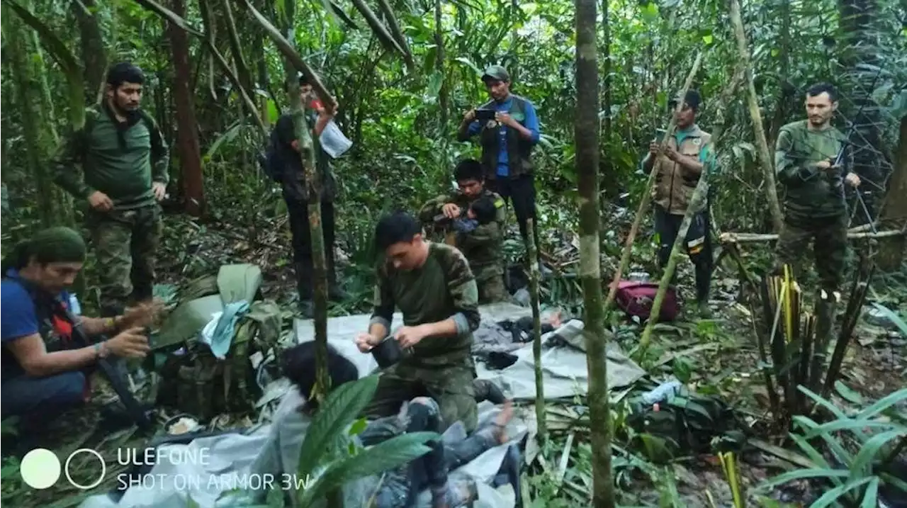 Encuentran con vida a los cuatro niños desaparecidos tras accidente de avioneta en la selva de Colombia