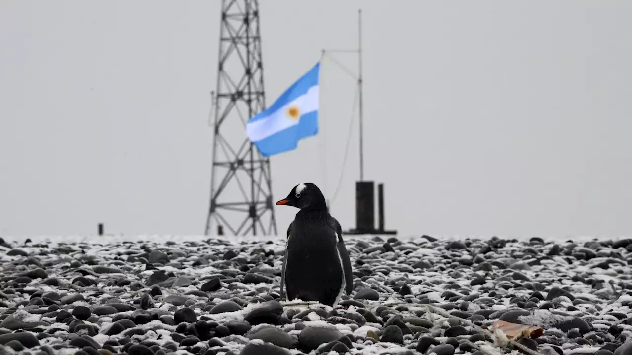 ¿Por qué se dice que Argentina es un país bicontinental?