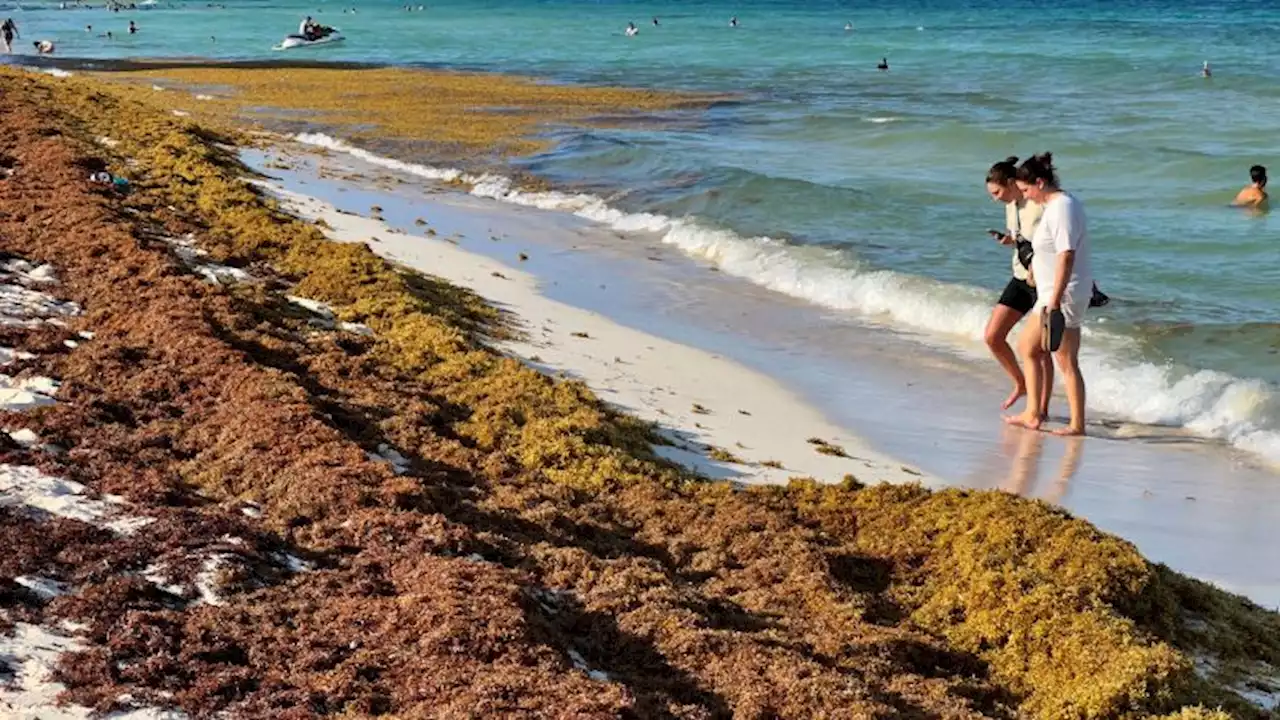 What you should know about flesh-eating bacteria on beaches | CNN