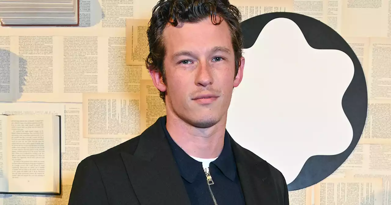 Hedda Cast: Fantastic Beasts' Callum Turner Joins Tessa Thompson Drama