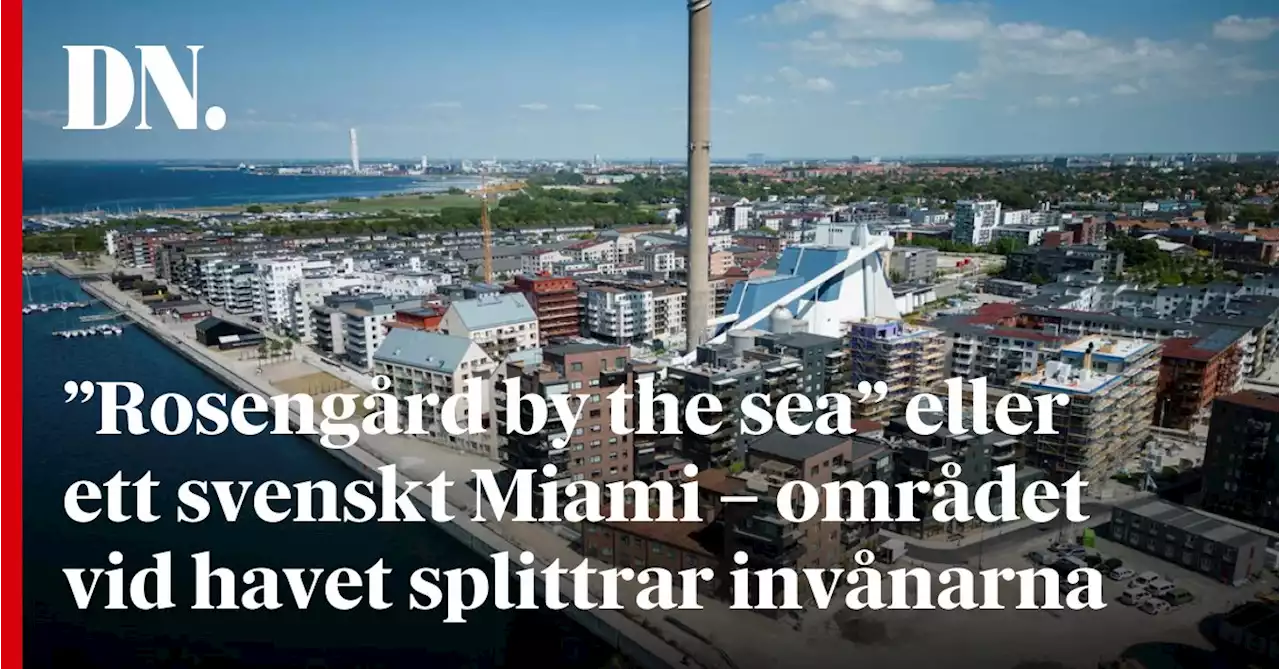 ”Rosengård by the sea” eller ett svenskt Miami – området vid havet splittrar invånarna