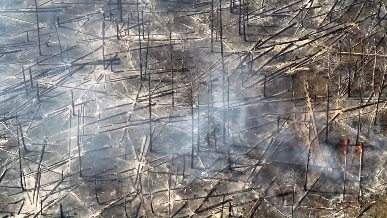 Jüterbog: Waldbrand erneut angefacht – Großschadenslage ausgerufen