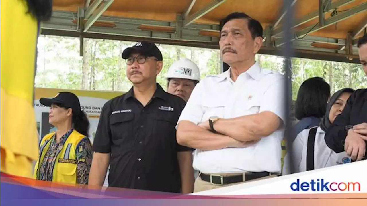 Proyek Istana di IKN Diawasi Bule, Luhut: 17 Agustus 2024 Bisa buat Upacara