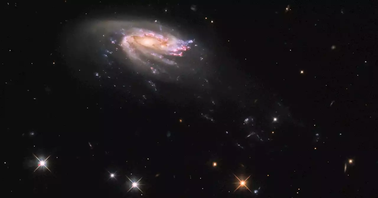 Hubble image of the week shows an unusual jellyfish galaxy | Digital Trends