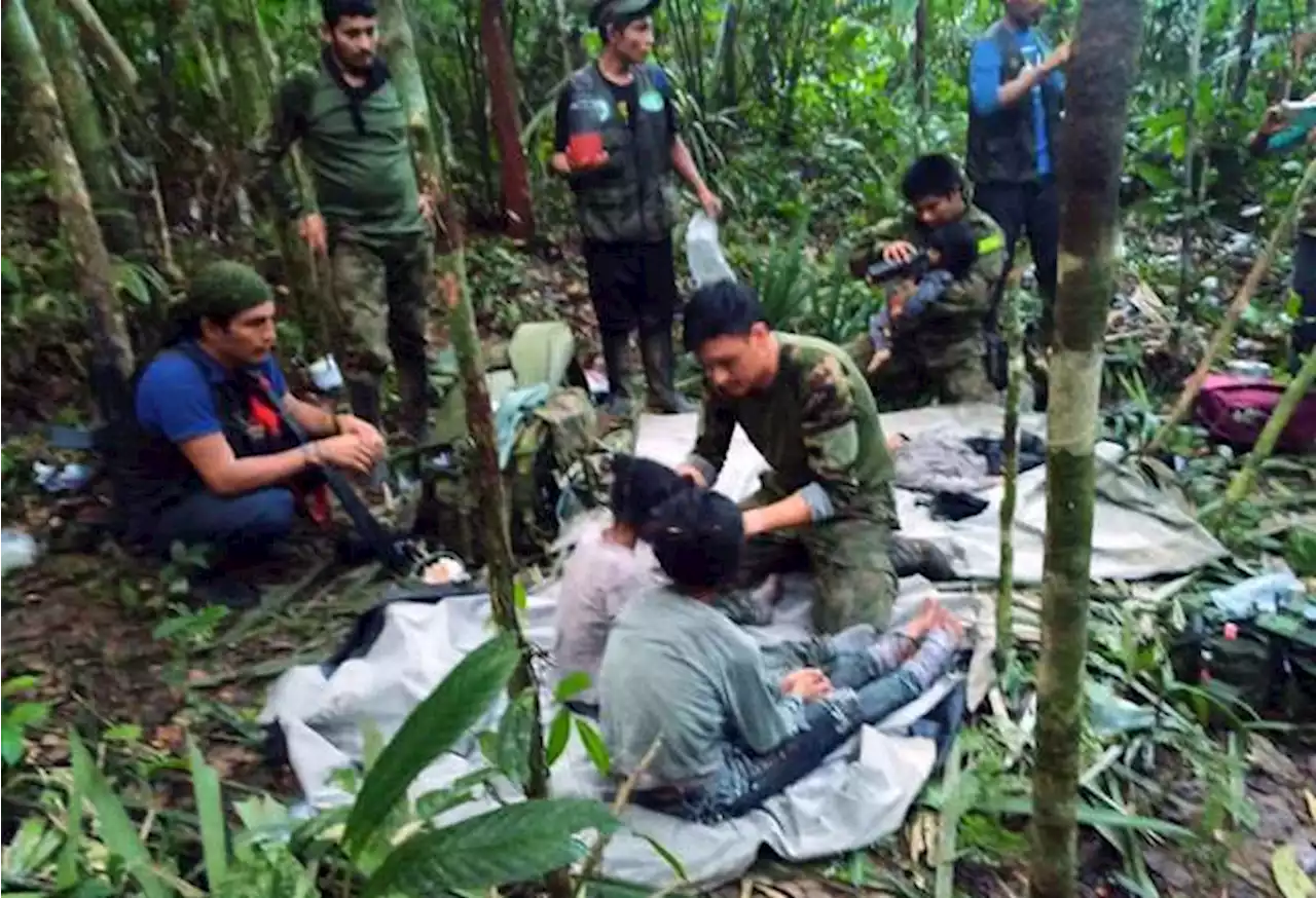 Silbatos, la voz de la abuela y luces: así buscaron a los niños en la selva