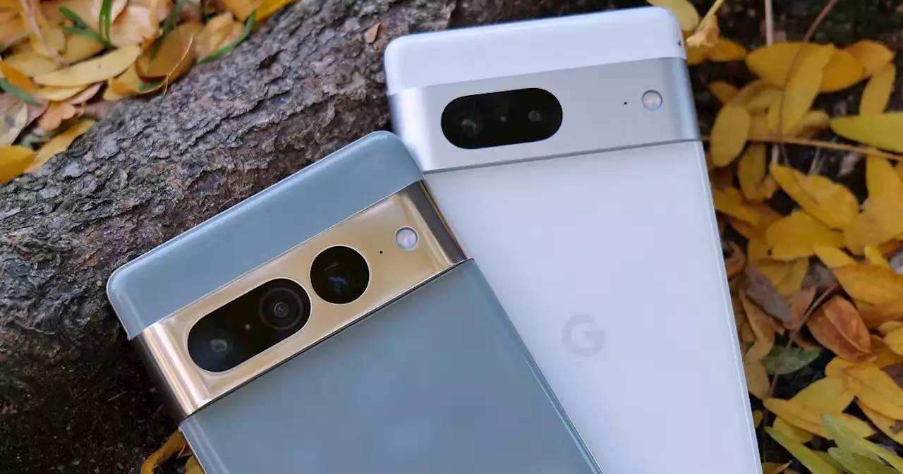 Google's Pixel 8 Pro could feature a larger, more capable main camera sensor | Engadget