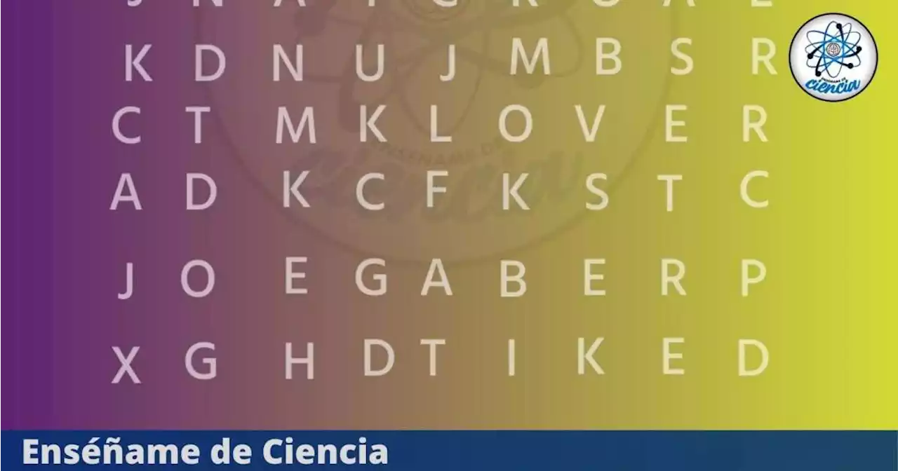 Reto para GENIOS: Encuentra la palabra MUSEOS en la sopa de letras