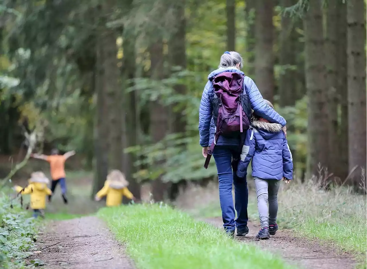 Haben Sie Tipps für das richtige Verhalten von kleinen Wanderern in der Natur, Herr Hiess?