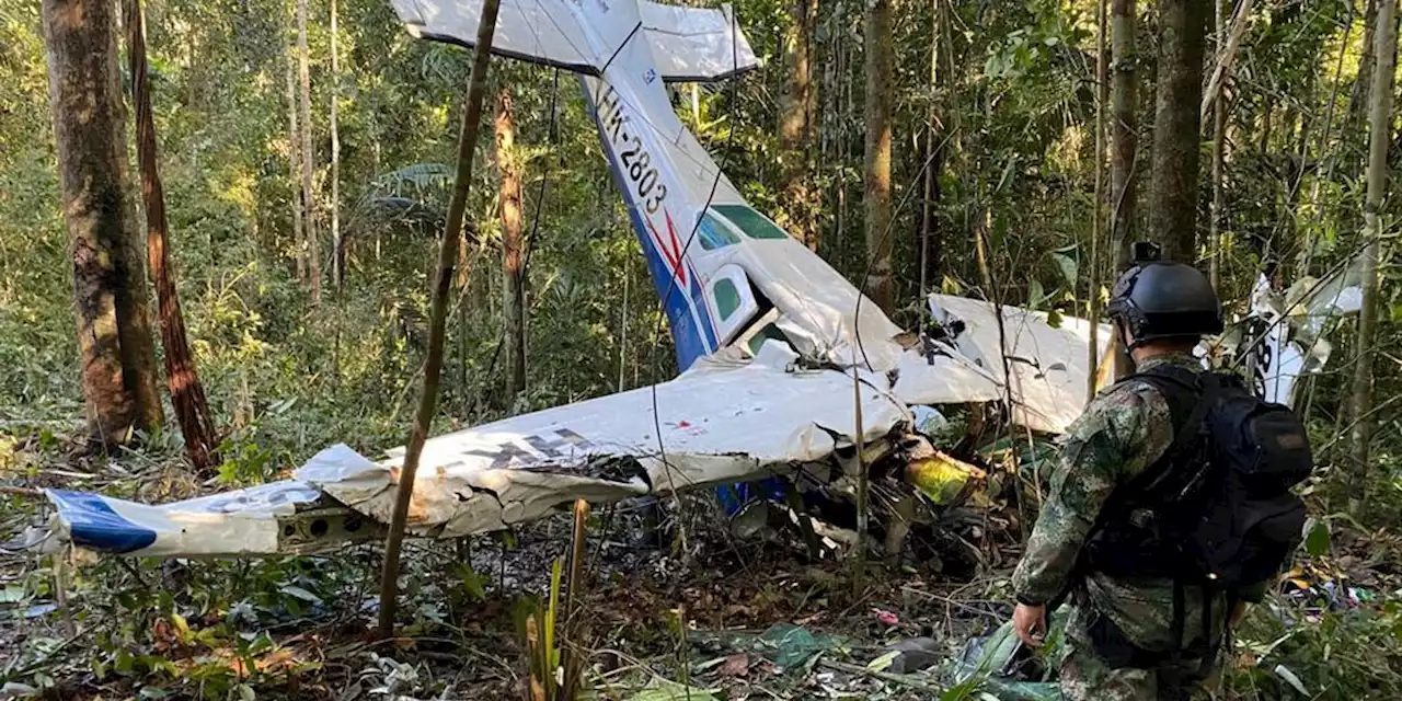 Kolumbien: Kinder nach Flugzeugabsturz im Regenwald lebend gefunden