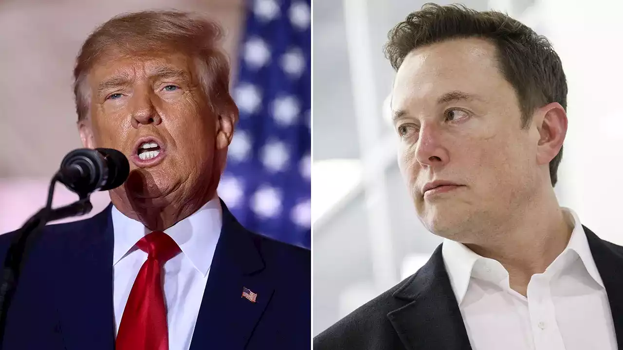 Musk suggests Trump is being targeted after indictment: 'Far higher interest in pursuing Trump' than others