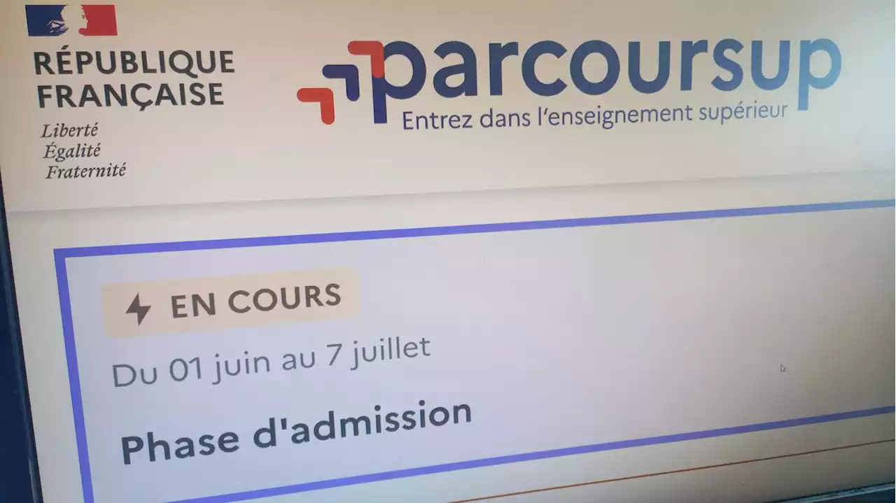 INFOGRAPHIES. Parcoursup : les formations en santé font le plein, quatre candidats pour devenir aumoniers... On a passé les voeux des candidats au peigne fin