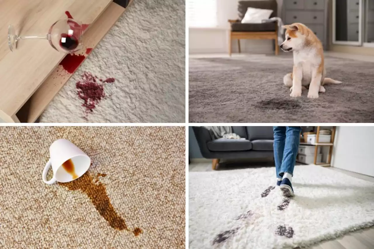 15 most 'stubborn' carpet stains ranked (and how you can get rid of them)