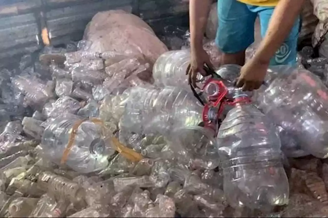 Ilmuwan Temukan Mikroba yang Bisa Mengurai Plastik pada Suhu Dingin - Jawa Pos