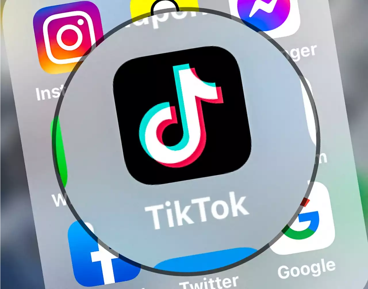 Em busca da busca: zennials trocam Google por TikTok e mudam futuro da pesquisa online