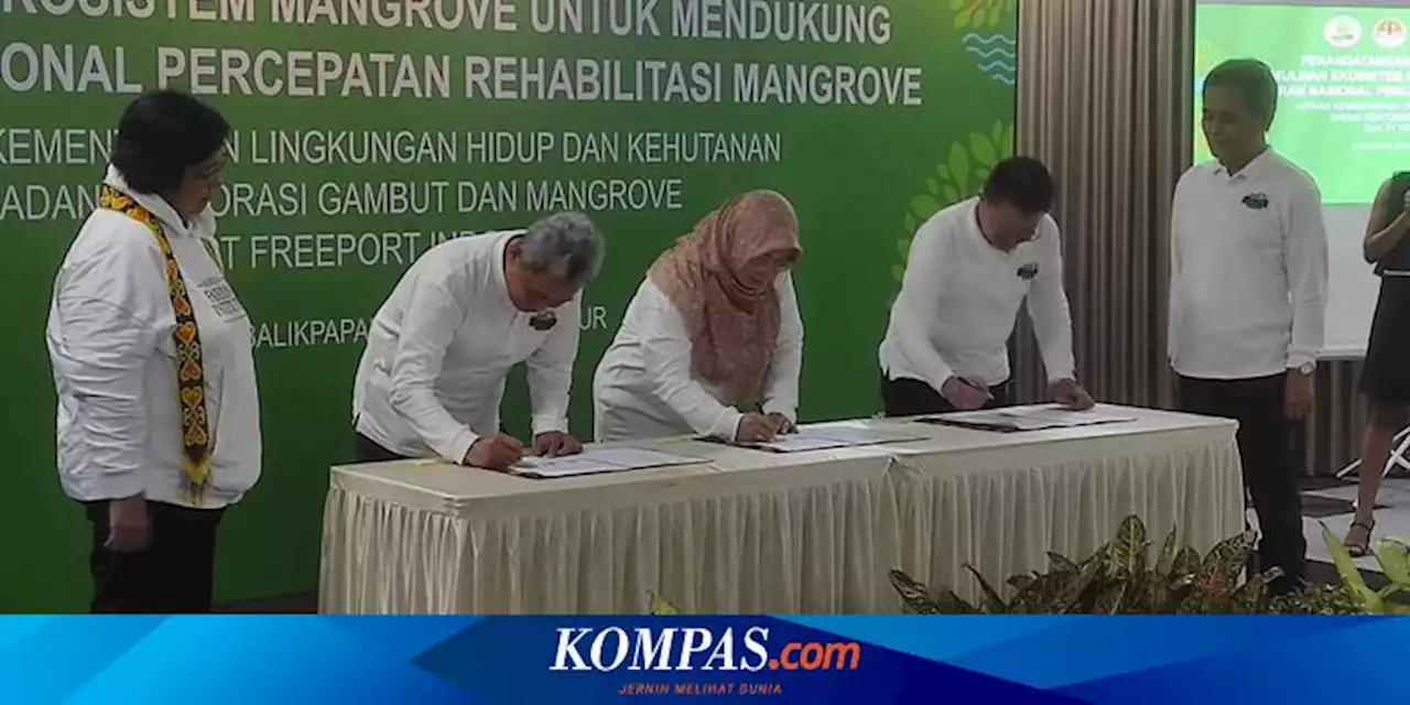 Freeport Indonesia Teken MoU Rehabilitasi Mangrove di Wilayah IKN