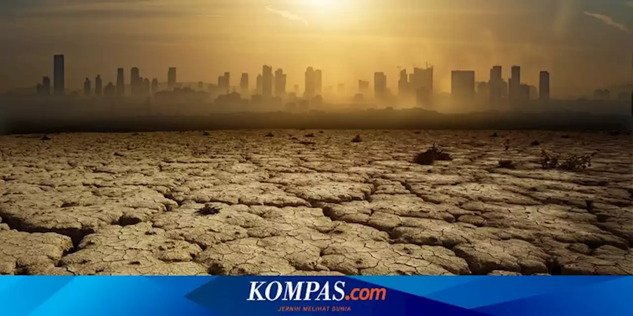 Usai Dilanda Suhu Panas, Indonesia Berpotensi Alami Musim Kemarau Lebih Kering