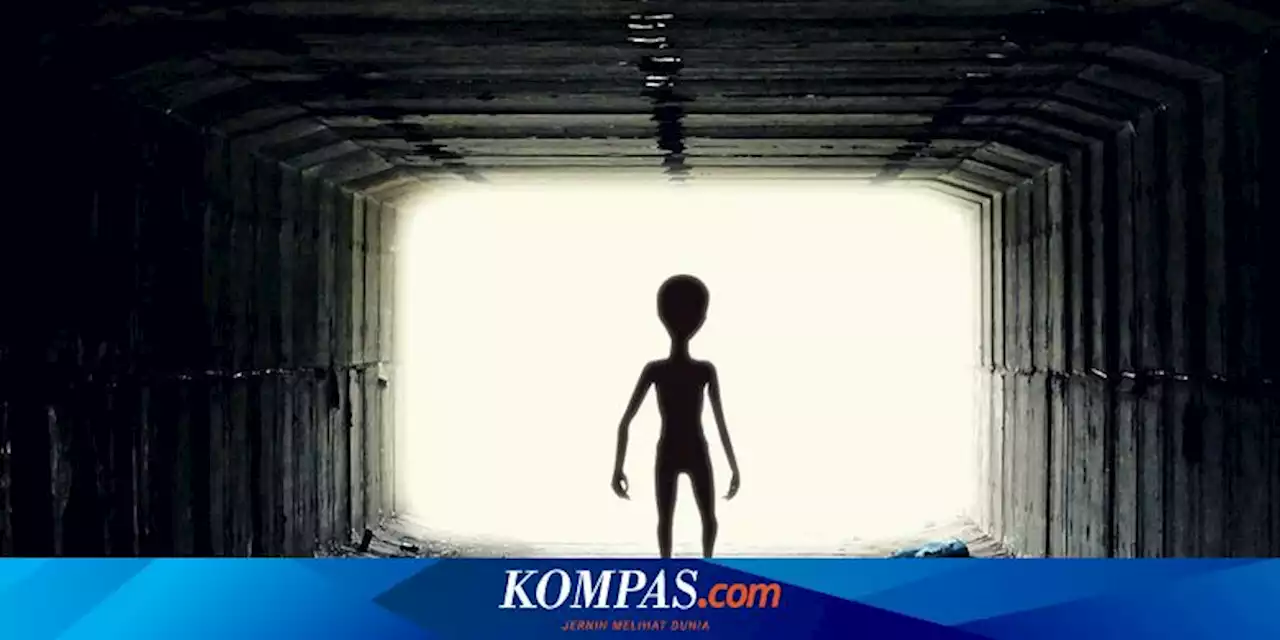 Warga Laporkan Temuan Alien ke Polisi LA: 100 Persen Mereka Bukan Manusia!