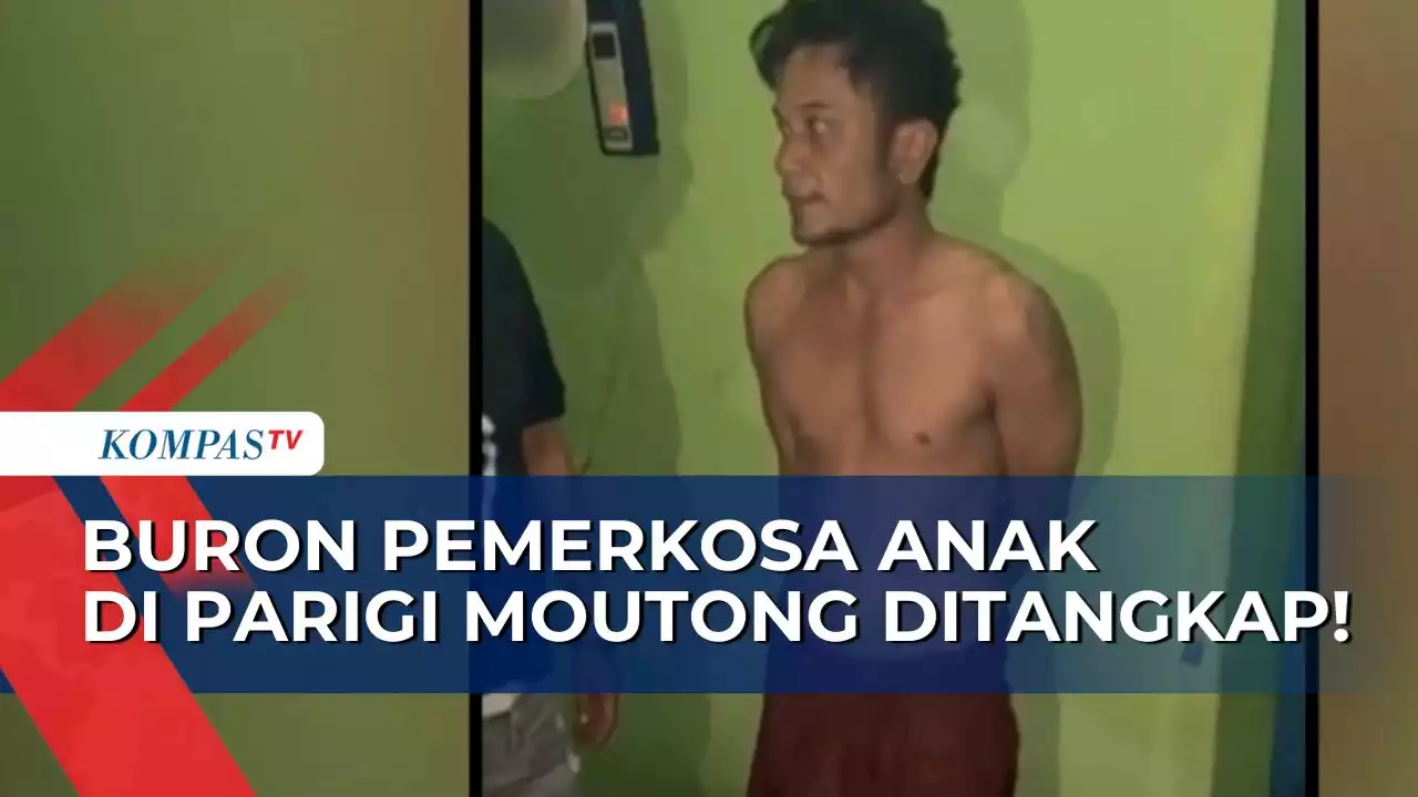 Guru hingga Kepala Desa, 11 Pemerkosa Anak di Parigi Moutong Ditangkap!