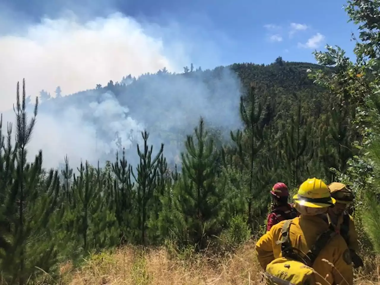 Reporta Conafor siete incendios activos en Chihuahua